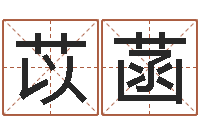 王苡菡移命元-丁姓男孩名字