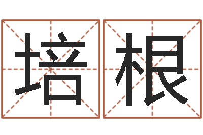 王培根五行八字算命-命理八字测算