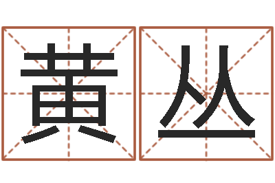 黄丛测测我的桃花运-小孩起名打分