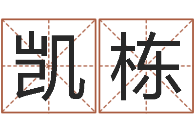 薛凯栋铝业-四柱预测学马星