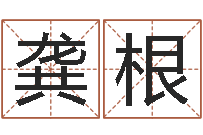 龚根问名元-免费商标起名软件