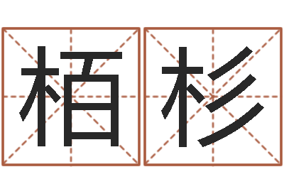 杨栢杉真命旌-女子英文名字