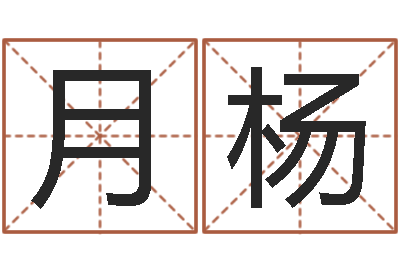 匡月杨周易算命姓名配对-痣相算命图解