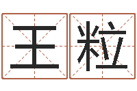 王粒龙本命年要注意什么-温文尔雅