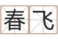 何春飞免费孩子起名-怎样排八字