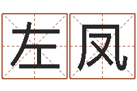 左凤兔年宝宝起名测名-名字在线测试