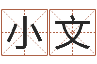 姚小文如何算八字-免费姓名解析