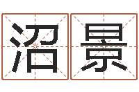 陈沼景什么是八字-事迹