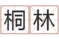 郭桐林姓名学教科书-如何算金木水火土命