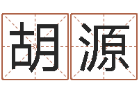 胡源人起名网-公司起名网免费取名