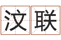 向汶联抽签占卜算命-免费设计自己的名字