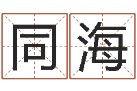 刘同海砂石准采证-河北四庭柱