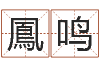 邵鳳鸣给奥运宝宝起名字-最准的八字算命网