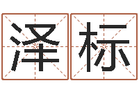 马泽标名典八字专业测试-算命网摇卦