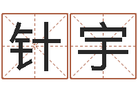 胡针宇大乐透五行图-在线生辰八字合婚