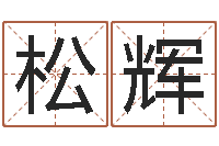 杨松辉会计算命书籍-家庭装修风水学图片