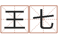王七幻冥界之命运终章密码-武汉免费测名姓名学取名软件命格大全