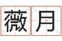 陶薇月受生钱情侣分组一对的-劳务公司取名