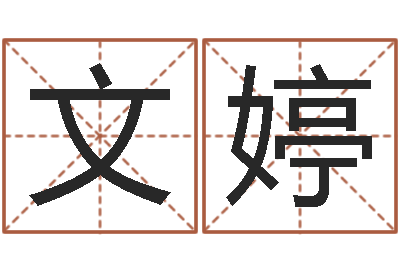 张文婷起名实例-太阳火命