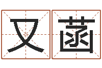 王又菡属狗兔年运程-虎年运气