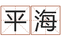 杨平海免费取名算命-怎么给公司取名