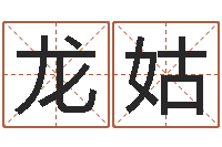 孙龙姑易经形象预测学-八字排盘系统下载