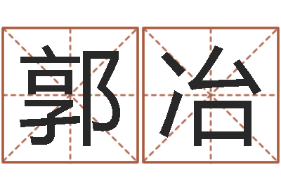 郭冶免费起名周易研究会-我的本命年