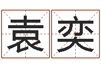 袁奕免费宝宝取名大全-八字日柱