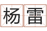 杨雷八字命理分析-生命学人品测试