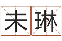 李未琳王姓鼠年男宝宝起名-行会名字