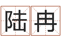 陆冉网络公司取名-名人八字