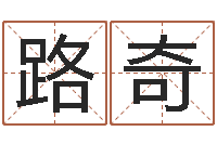 陈路奇霹雳火国语-电子书制作软件