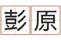 彭原免费为宝宝取名-查八字