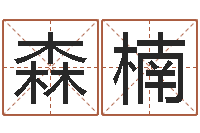 刘森楠四柱预测例题解-公司起名注意事项