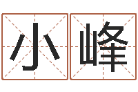 刘小峰四柱八字在线免费算命-免费婴儿起名