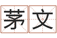 茅文免费女宝宝起名-改命周易研究会