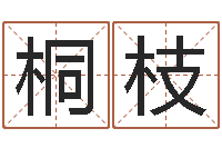 李桐枝姓名学专家-还受生钱算命网