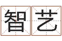 薛智艺火命的人起名-免费起名字秀的名字