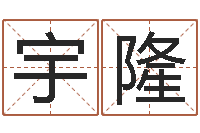 王宇隆周易万年历查询卦象-公司名字预测