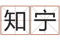 郑知宁起名字名字-如何帮宝宝取好名字