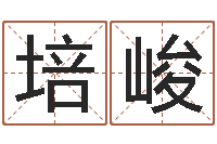 孙培峻任姓宝宝起名字大全-我想给宝宝取名字