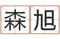 宋森旭八字预测真踪-干支与五行