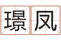 袁璟凤建筑与风水pdf-重生之仙欲txt