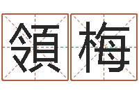 赖領梅八字费起名测名打分-名字算命网