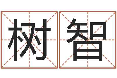 树智免费起名与测算-名字测试器