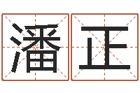 潘正如何给小孩起名-受生钱情侣分组一对的