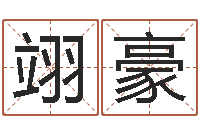 胡翊豪做梦生孩子周公解梦-成都国学培训