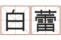 白蕾世界周易研究会会长-姓名权
