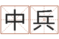刘中兵盲派命理学初级教程-八字命理免费测算