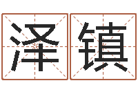 骆泽镇马来西亚算命-陈姓小孩起名